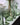 verre a pied visage vert avec pots et verres