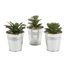 
                      
                        Load image into Gallery viewer, Meadow Faux Succulent in Metal Pot
                      
                    