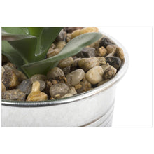 
                      
                        Load image into Gallery viewer, Meadow Faux Succulent in Metal Pot
                      
                    