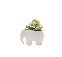 
                      
                        Load image into Gallery viewer, PORCELAIN VASE - ELEPHANT white
                      
                    