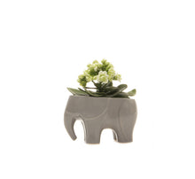 
                      
                        Load image into Gallery viewer, Elephant Vase
                      
                    
