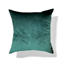 
                      
                        Load image into Gallery viewer, Velvet Cushion
                      
                    