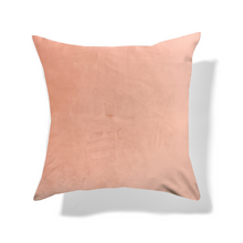 
                      
                        Load image into Gallery viewer, Velvet Cushion
                      
                    
